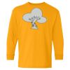 Youth Heavy Cotton™ Long Sleeve T-Shirt Thumbnail