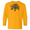Youth Heavy Cotton™ Long Sleeve T-Shirt Thumbnail
