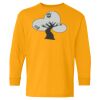 Youth Heavy Cotton™ Long Sleeve T-Shirt Thumbnail