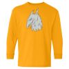 Youth Heavy Cotton™ Long Sleeve T-Shirt Thumbnail