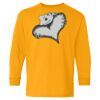 Youth Heavy Cotton™ Long Sleeve T-Shirt Thumbnail