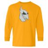 Youth Heavy Cotton™ Long Sleeve T-Shirt Thumbnail