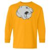 Youth Heavy Cotton™ Long Sleeve T-Shirt Thumbnail