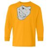 Youth Heavy Cotton™ Long Sleeve T-Shirt Thumbnail