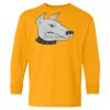 Youth Heavy Cotton™ Long Sleeve T-Shirt Thumbnail