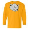 Youth Heavy Cotton™ Long Sleeve T-Shirt Thumbnail