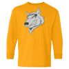 Youth Heavy Cotton™ Long Sleeve T-Shirt Thumbnail