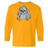 Youth Heavy Cotton™ Long Sleeve T-Shirt Thumbnail