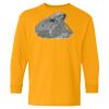 Youth Heavy Cotton™ Long Sleeve T-Shirt Thumbnail