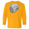 Youth Heavy Cotton™ Long Sleeve T-Shirt Thumbnail