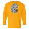Youth Heavy Cotton™ Long Sleeve T-Shirt Thumbnail