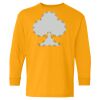 Youth Heavy Cotton™ Long Sleeve T-Shirt Thumbnail