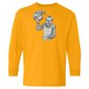 Youth Heavy Cotton™ Long Sleeve T-Shirt Thumbnail