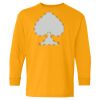 Youth Heavy Cotton™ Long Sleeve T-Shirt Thumbnail