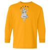 Youth Heavy Cotton™ Long Sleeve T-Shirt Thumbnail