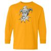 Youth Heavy Cotton™ Long Sleeve T-Shirt Thumbnail