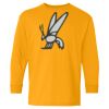 Youth Heavy Cotton™ Long Sleeve T-Shirt Thumbnail