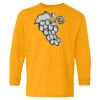 Youth Heavy Cotton™ Long Sleeve T-Shirt Thumbnail