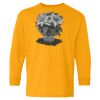 Youth Heavy Cotton™ Long Sleeve T-Shirt Thumbnail