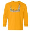 Youth Heavy Cotton™ Long Sleeve T-Shirt Thumbnail