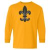 Youth Heavy Cotton™ Long Sleeve T-Shirt Thumbnail