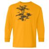 Youth Heavy Cotton™ Long Sleeve T-Shirt Thumbnail
