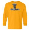 Youth Heavy Cotton™ Long Sleeve T-Shirt Thumbnail