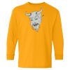 Youth Heavy Cotton™ Long Sleeve T-Shirt Thumbnail