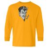 Youth Heavy Cotton™ Long Sleeve T-Shirt Thumbnail