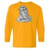 Youth Heavy Cotton™ Long Sleeve T-Shirt Thumbnail