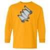 Youth Heavy Cotton™ Long Sleeve T-Shirt Thumbnail