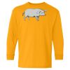 Youth Heavy Cotton™ Long Sleeve T-Shirt Thumbnail