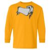 Youth Heavy Cotton™ Long Sleeve T-Shirt Thumbnail