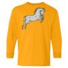 Youth Heavy Cotton™ Long Sleeve T-Shirt Thumbnail