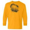 Youth Heavy Cotton™ Long Sleeve T-Shirt Thumbnail