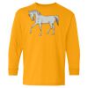Youth Heavy Cotton™ Long Sleeve T-Shirt Thumbnail