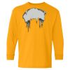Youth Heavy Cotton™ Long Sleeve T-Shirt Thumbnail