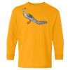 Youth Heavy Cotton™ Long Sleeve T-Shirt Thumbnail