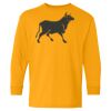 Youth Heavy Cotton™ Long Sleeve T-Shirt Thumbnail