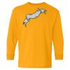 Youth Heavy Cotton™ Long Sleeve T-Shirt Thumbnail