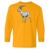Youth Heavy Cotton™ Long Sleeve T-Shirt Thumbnail