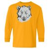 Youth Heavy Cotton™ Long Sleeve T-Shirt Thumbnail