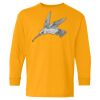 Youth Heavy Cotton™ Long Sleeve T-Shirt Thumbnail