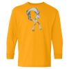 Youth Heavy Cotton™ Long Sleeve T-Shirt Thumbnail