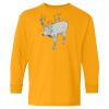 Youth Heavy Cotton™ Long Sleeve T-Shirt Thumbnail