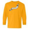 Youth Heavy Cotton™ Long Sleeve T-Shirt Thumbnail