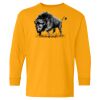 Youth Heavy Cotton™ Long Sleeve T-Shirt Thumbnail