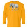 Youth Heavy Cotton™ Long Sleeve T-Shirt Thumbnail
