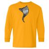 Youth Heavy Cotton™ Long Sleeve T-Shirt Thumbnail