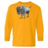 Youth Heavy Cotton™ Long Sleeve T-Shirt Thumbnail